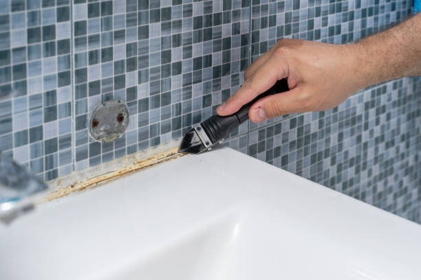 Best Localized Mold Remediation (e.g., coastal areas, humid climates) in Lawrence, KS